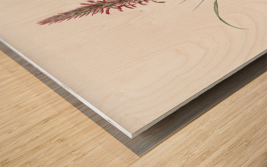 Pina cortadora illustration  Wood print