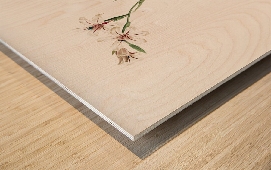 Gladiolus illustration  Wood print