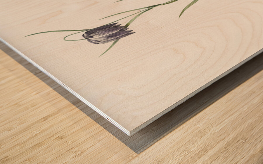 Chess flower illustration  Wood print