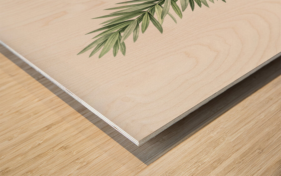 Whorled Solomon seal illustration  Wood print