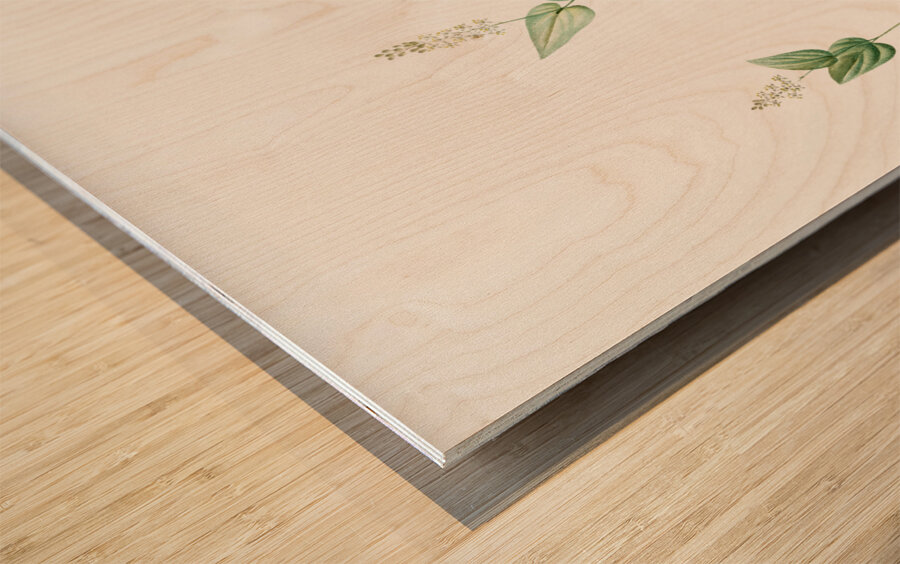 Mayanthemum illustration  Wood print