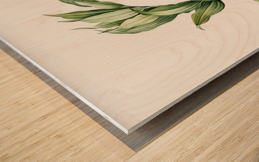 Treacleberry illustration  Wood print