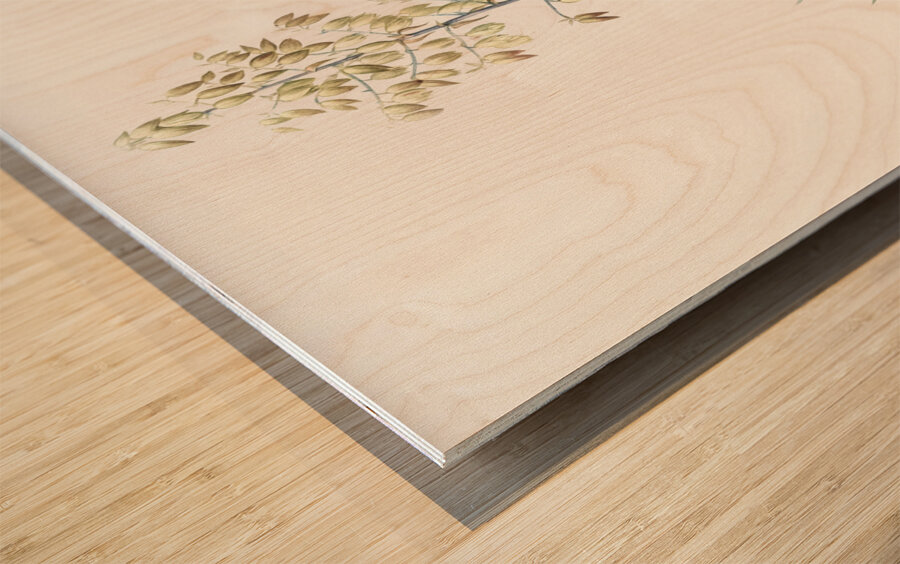 Adam needle illustration  Wood print