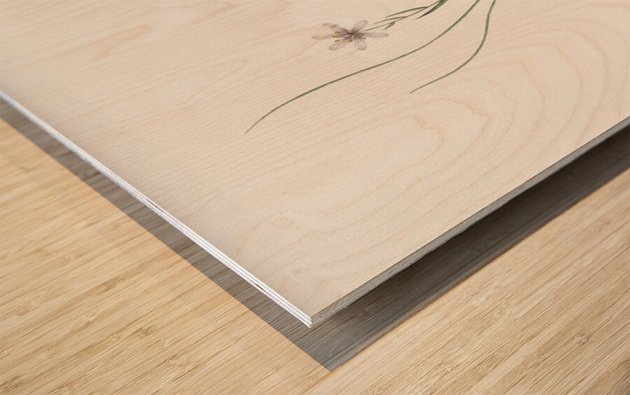 Snowdon lily illustration  Wood print