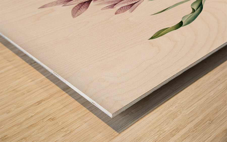 Autumn crocus illustration  Wood print