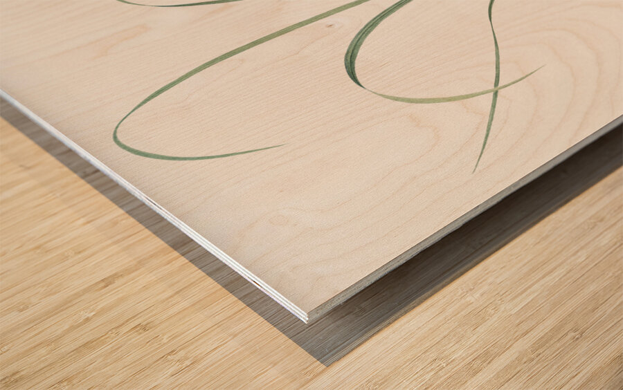 Grass leaved iris illustration  Wood print