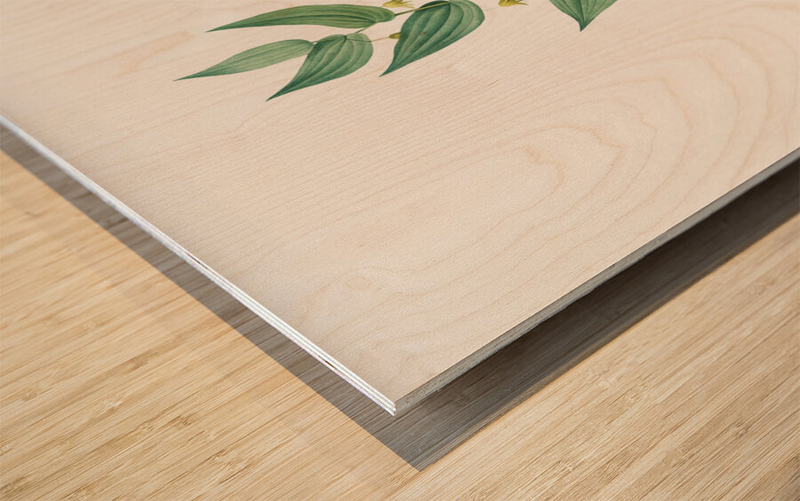 Twistedstalk illustration  Wood print