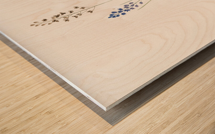 Autumn squill illustration Wood print