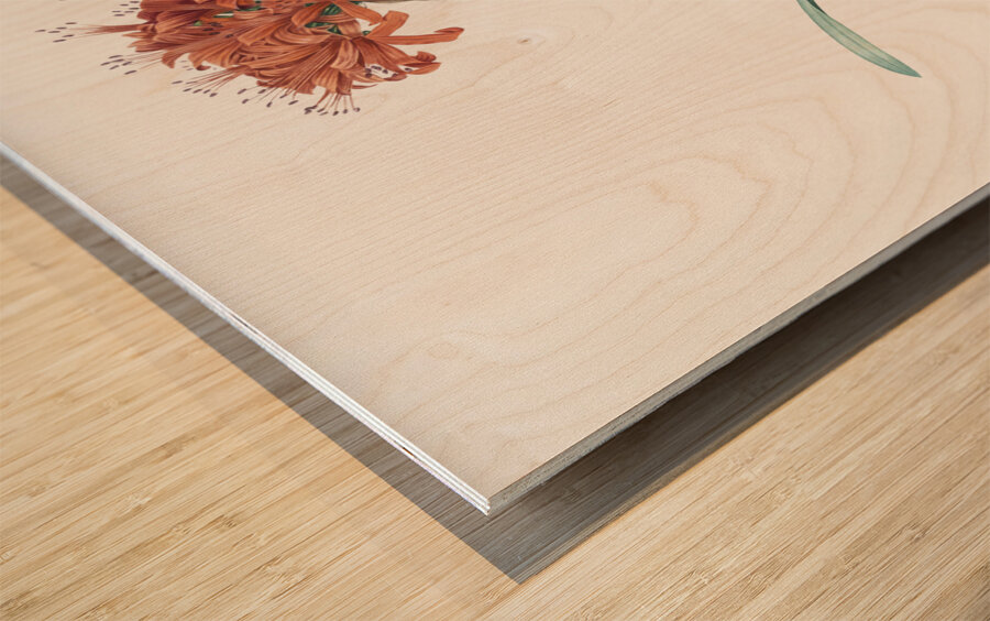 Guernsey lily illustration  Wood print