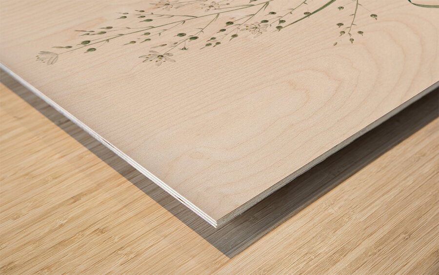 Branched St Bernard & lily illustration  Impression sur bois