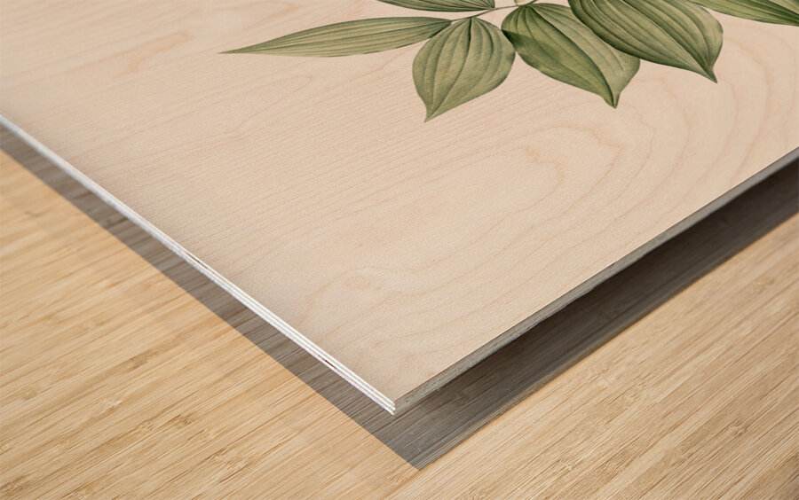 King Solomon seal illustration  Wood print