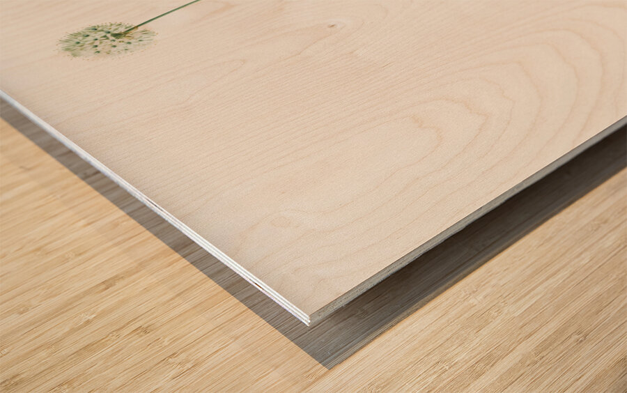 Victory onion illustration  Wood print