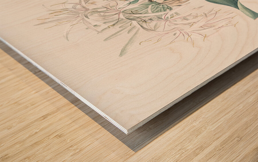 Poison bulb illustration  Wood print