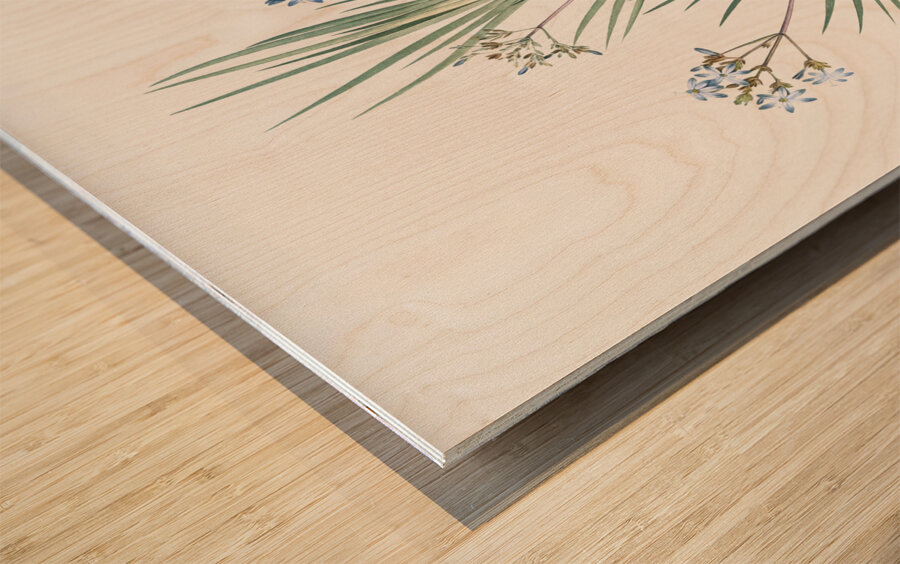 Blue stars illustration  Wood print