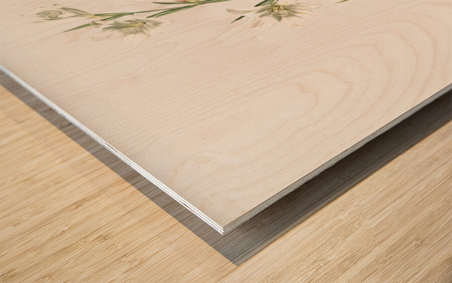 Painted lady illustration  Wood print