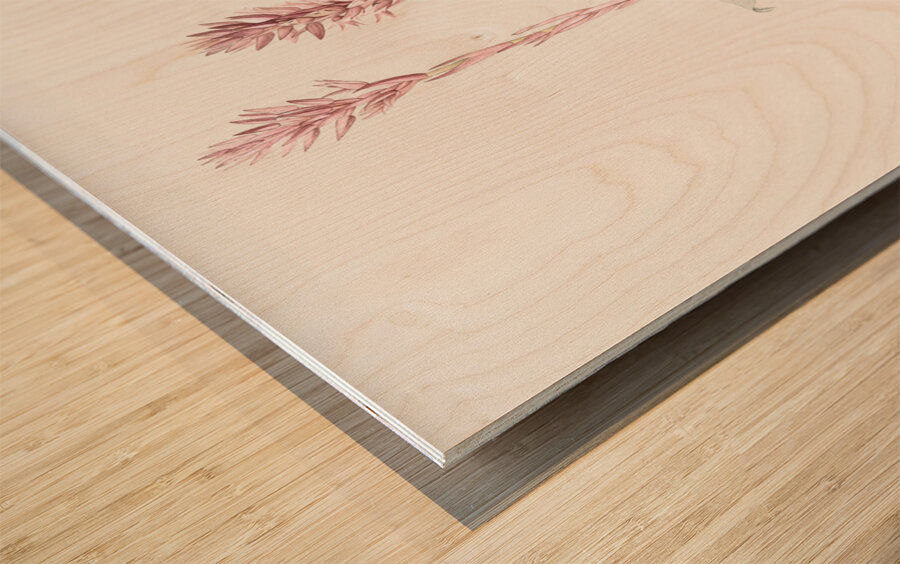 Latin American lady orchid illustration  Wood print