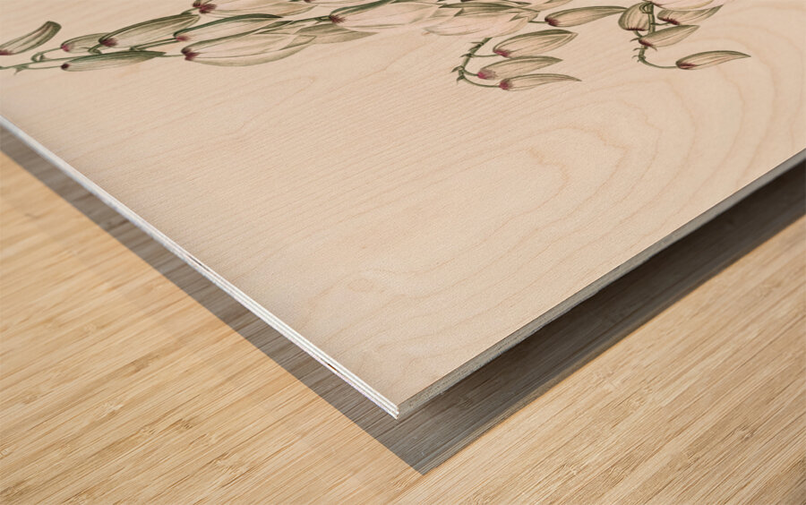 Aloe yucca illustration  Wood print