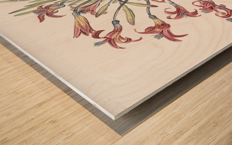 Josephine & lily illustration  Wood print