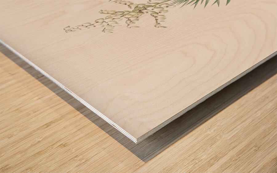 Aloe yucca illustration  Wood print