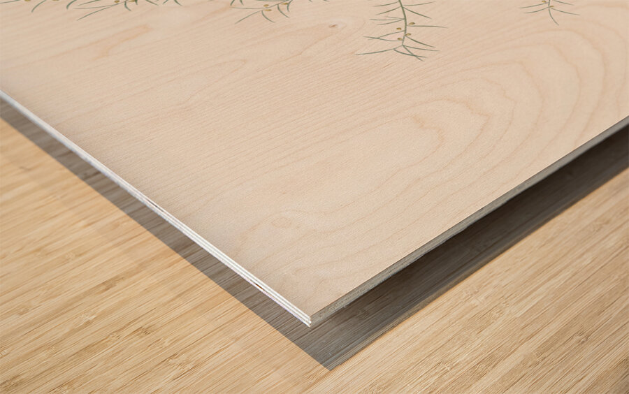 Climbing asparagus illustration  Wood print