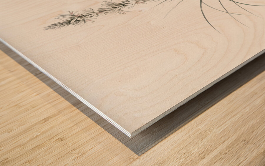 Thin asphodeline illustration  Wood print