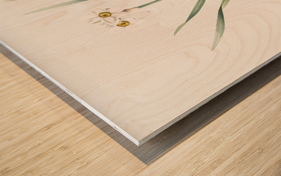 Sea asparagus illustration  Wood print