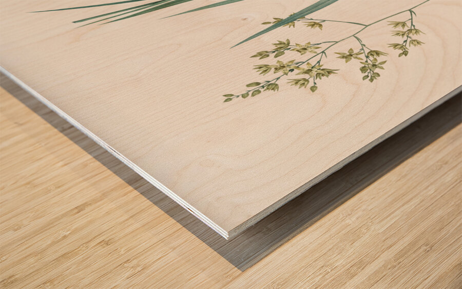 Sandbog death camas illustration  Wood print