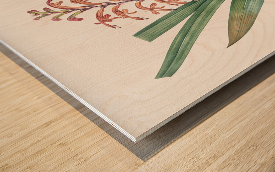 African flag illustration  Wood print