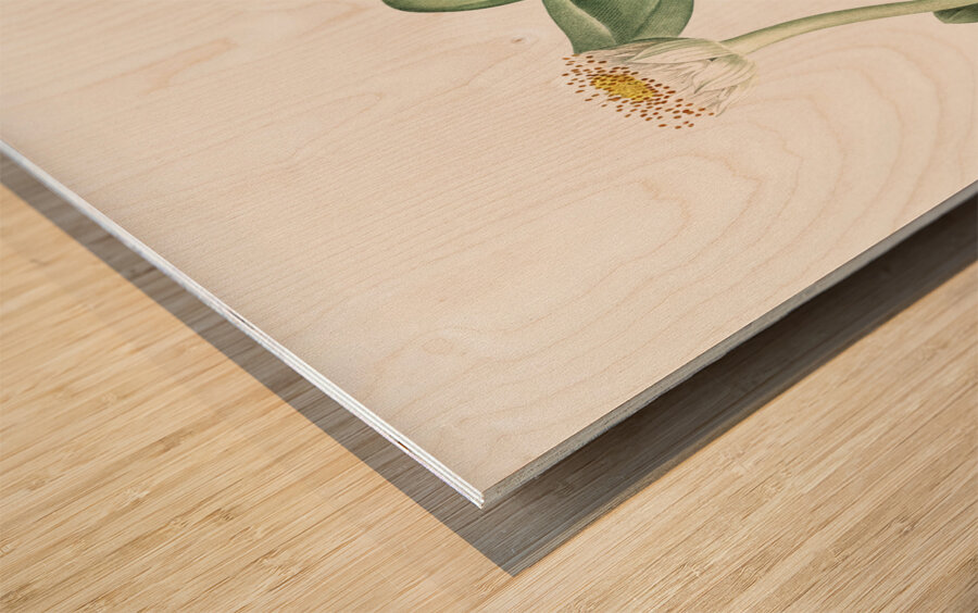 African flag illustration  Wood print