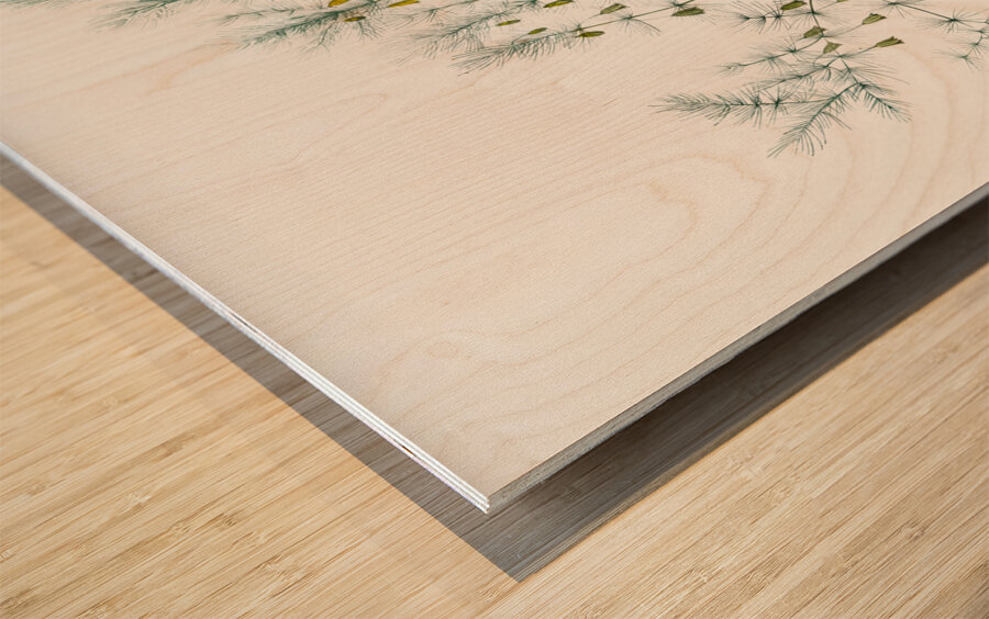 Asparagus fern illustration  Wood print