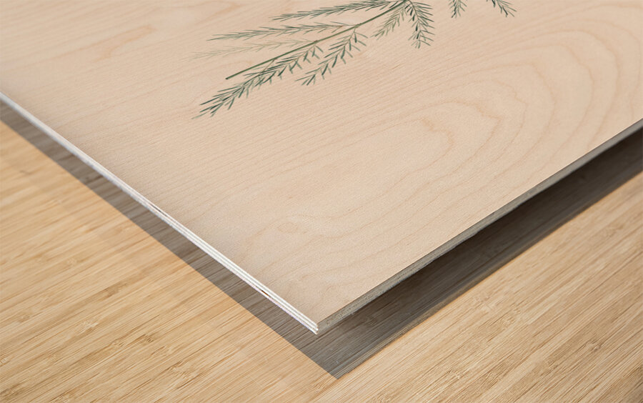 Asparagus fern illustration  Wood print