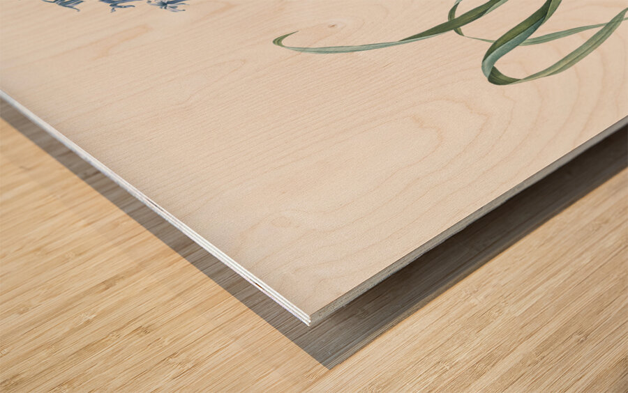 Poison bulb illustration  Wood print