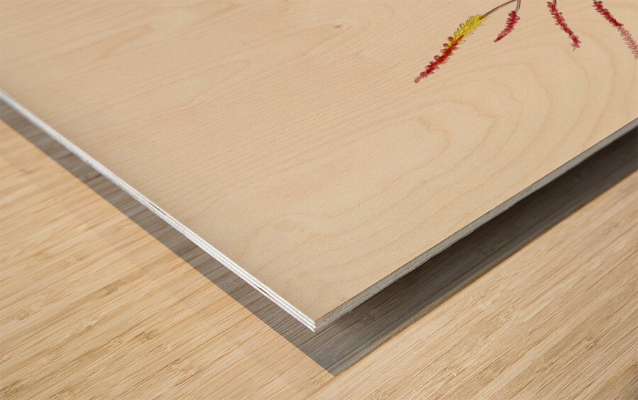 Aloe Globuligemma Wood print