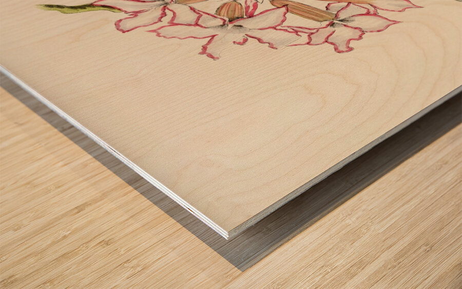 Adenium Multiflorum Wood print