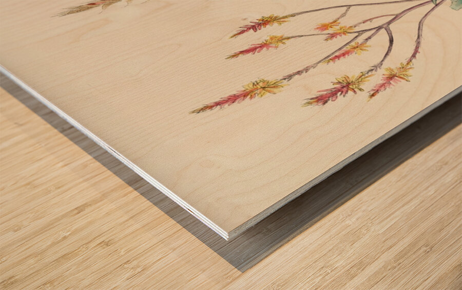 Aloe Pienaarii Wood print