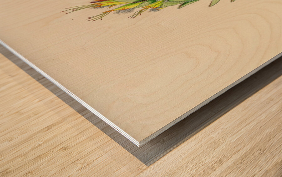 Mimetes Palustris Wood print