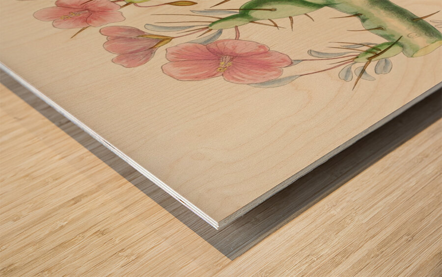 Sarcocaulon Rigidum Wood print