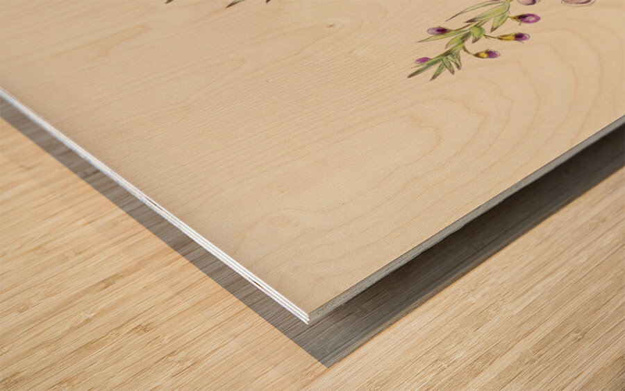 Clerodendron Triphyllum Wood print