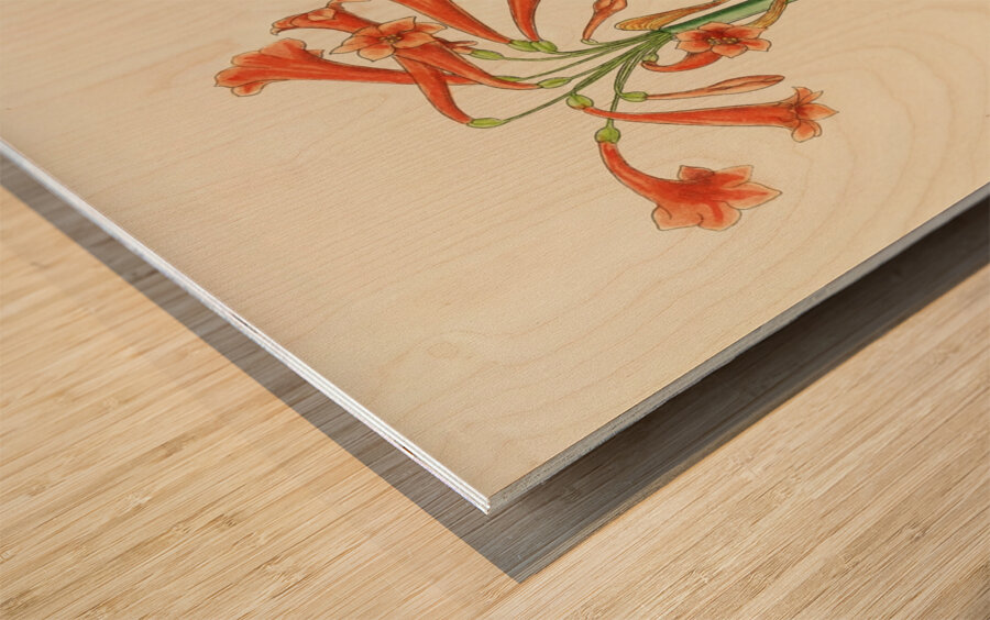 Cyrtanthus Rotundilobus Wood print