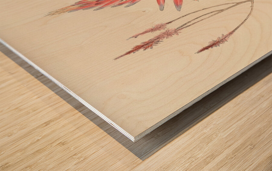 Aloe Pretoriensis Wood print