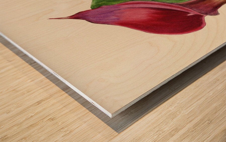 Richardia Rehmanni Wood print