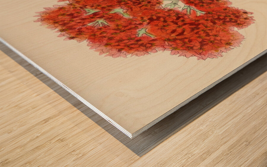 Crassula Falcata Wood print