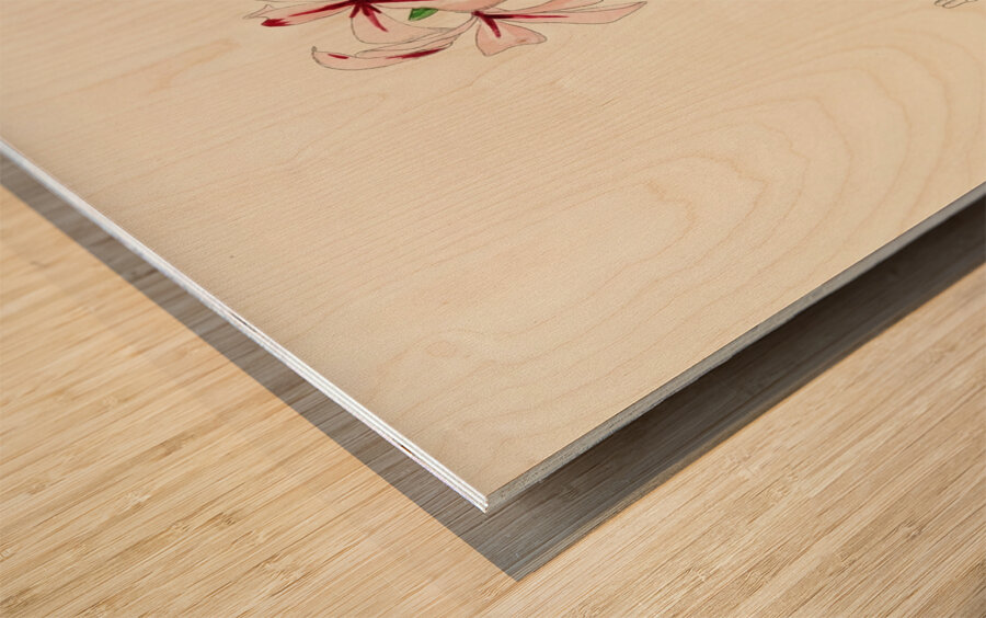 Pachypodium Succulentum Impression sur bois