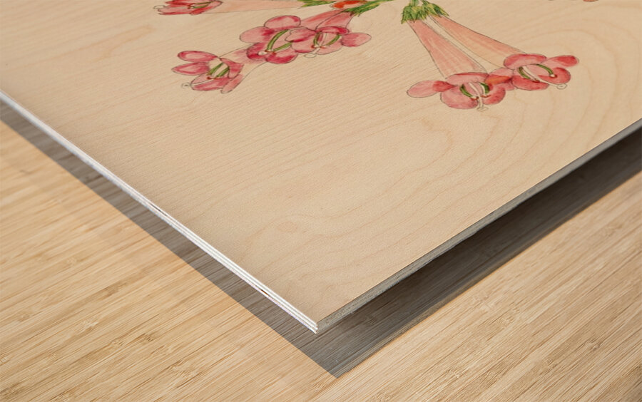 Streptocarpus Dunnii Wood print