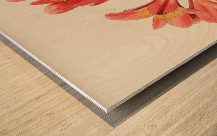 Clivia Miniata Wood print