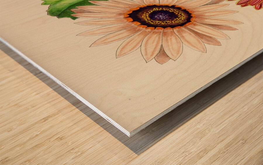 Arctotis Decurrens Wood print