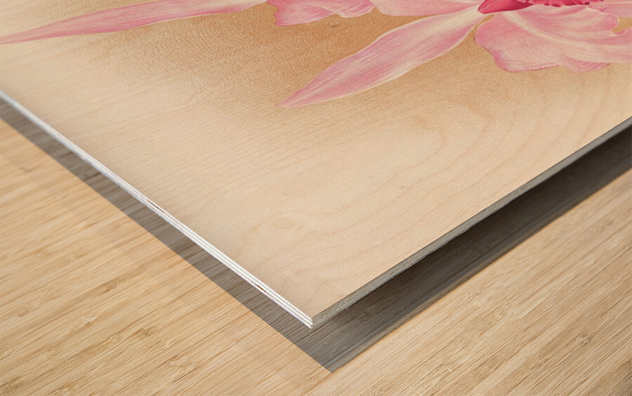 Cattleya Trianae var purpurata Wood print