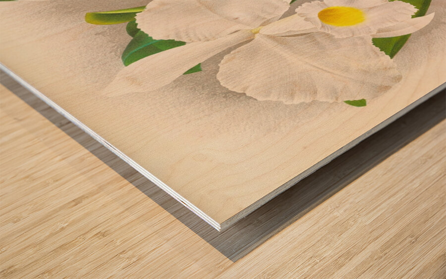 Cattleya Trianae Wood print