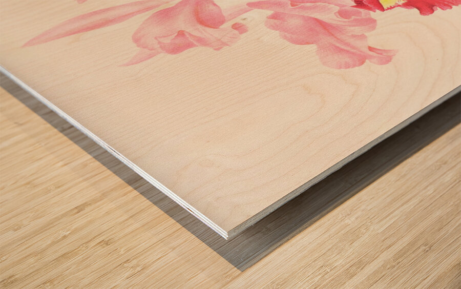 Cattleya gigas Wood print