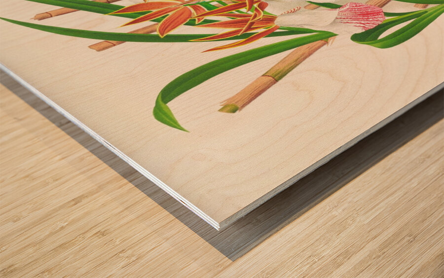 Galendra devoniana Wood print